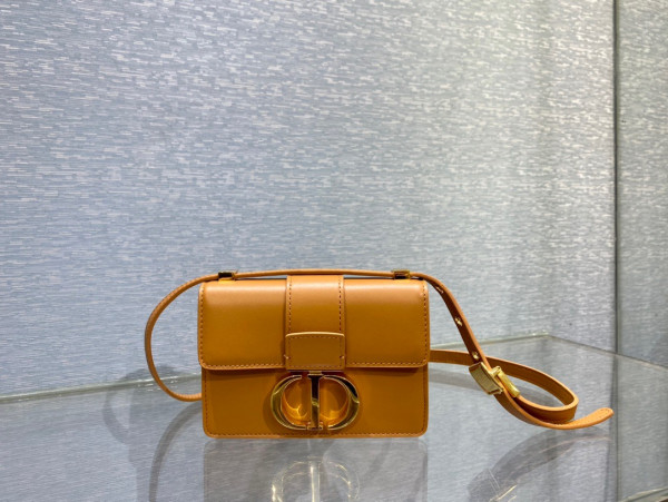 D*or 30 montaigne bag