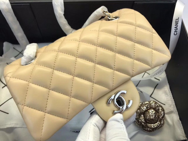 CL Flap Bag Lambskin 20CM